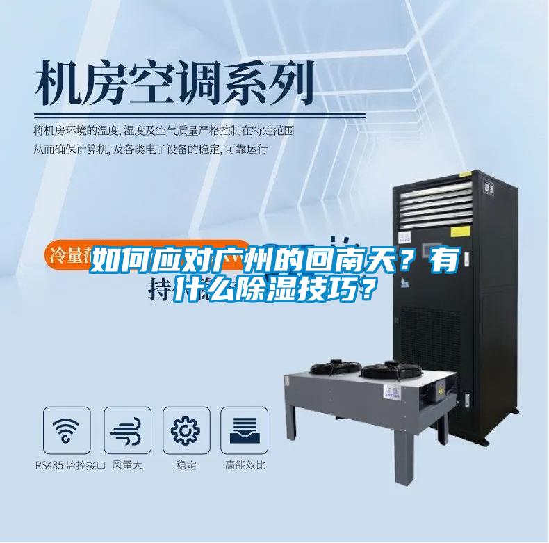 如何應(yīng)對廣州的回南天？有什么除濕技巧？