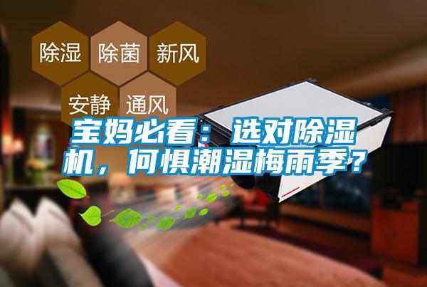 寶媽必看：選對除濕機，何懼潮濕梅雨季？