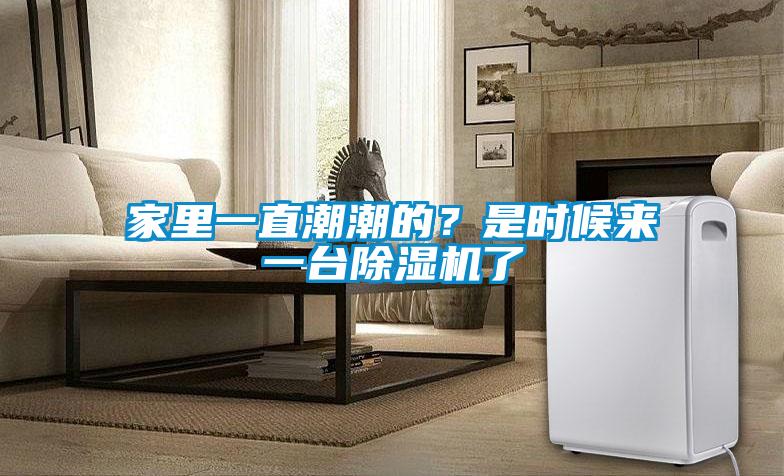 家里一直潮潮的？是時(shí)候來一臺(tái)除濕機(jī)了