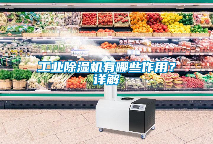 工業(yè)除濕機(jī)有哪些作用？詳解