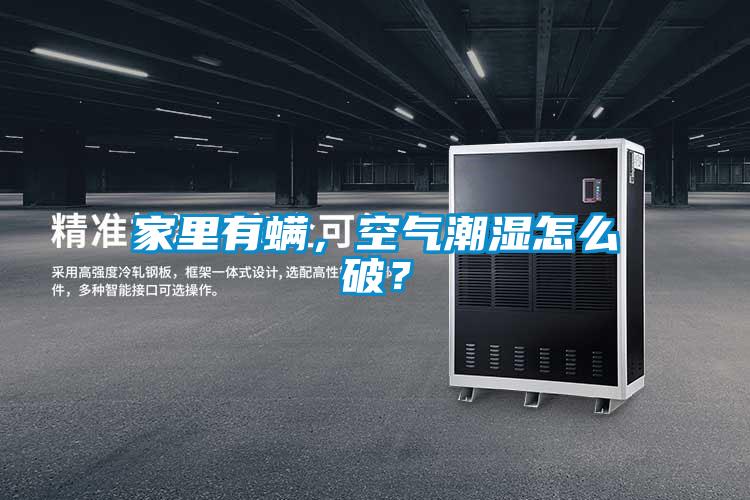 家里有螨，空氣潮濕怎么破？