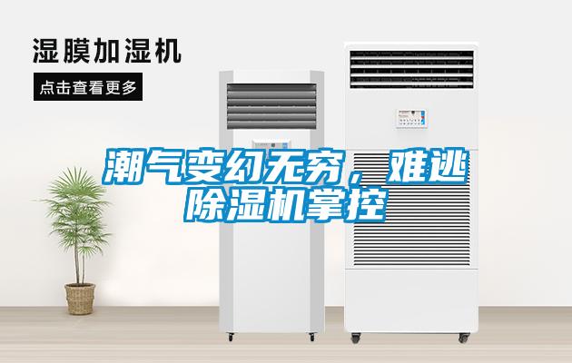 巧用車間除濕機(jī)，解決食品廠車間蒸汽問題