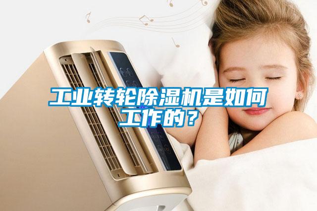 工業(yè)轉(zhuǎn)輪除濕機是如何工作的？