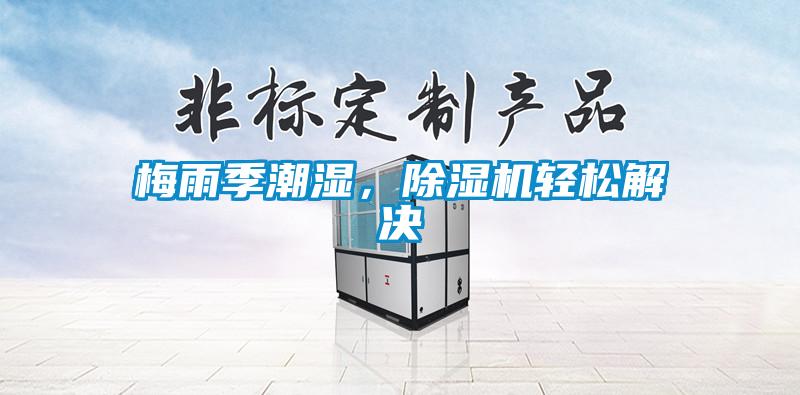 梅雨季潮濕，除濕機輕松解決