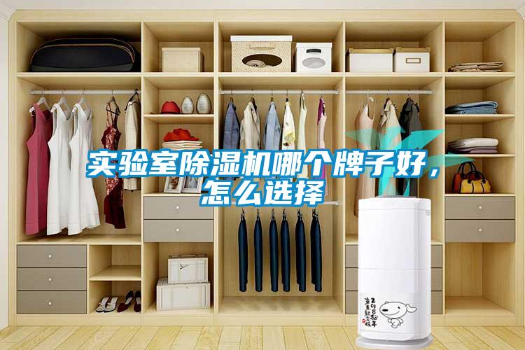 實驗室除濕機(jī)哪個牌子好，怎么選擇