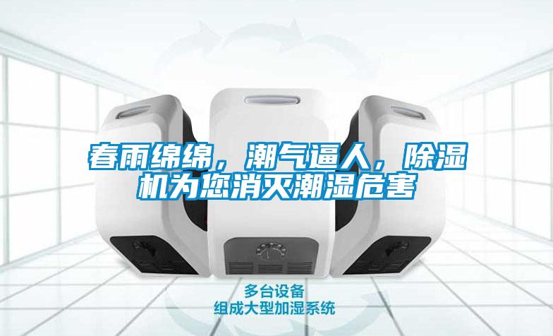 春雨綿綿，潮氣逼人，除濕機為您消滅潮濕危害