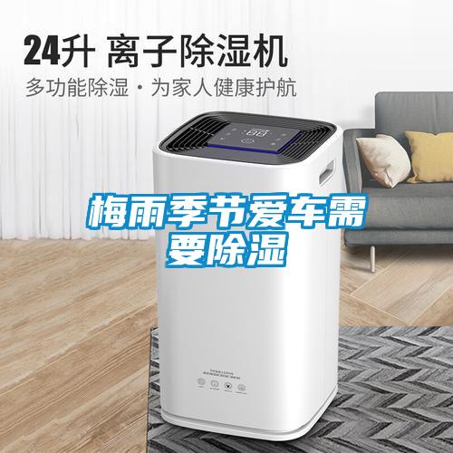 濕氣太重，大不如前！安詩曼除濕機還你健康好身體！