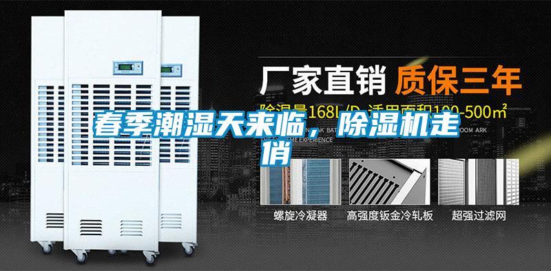 春季潮濕天來(lái)臨，除濕機(jī)走俏