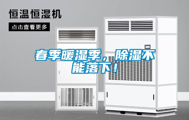 春季暖濕季，除濕不能落下！