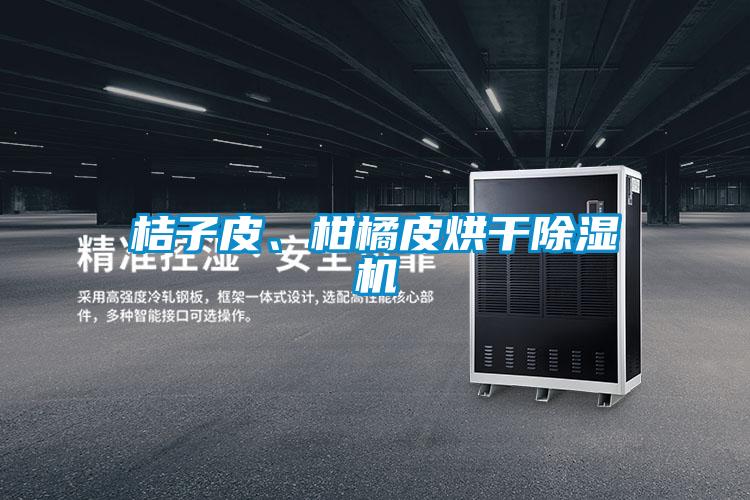 桔子皮、柑橘皮烘干除濕機(jī)