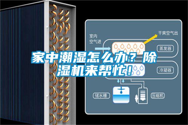 家中潮濕怎么辦？除濕機來幫忙！