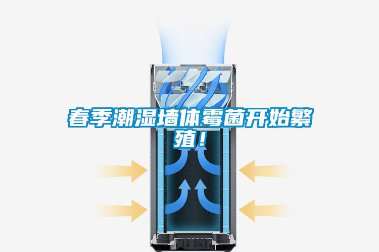 春季潮濕墻體霉菌開始繁殖！