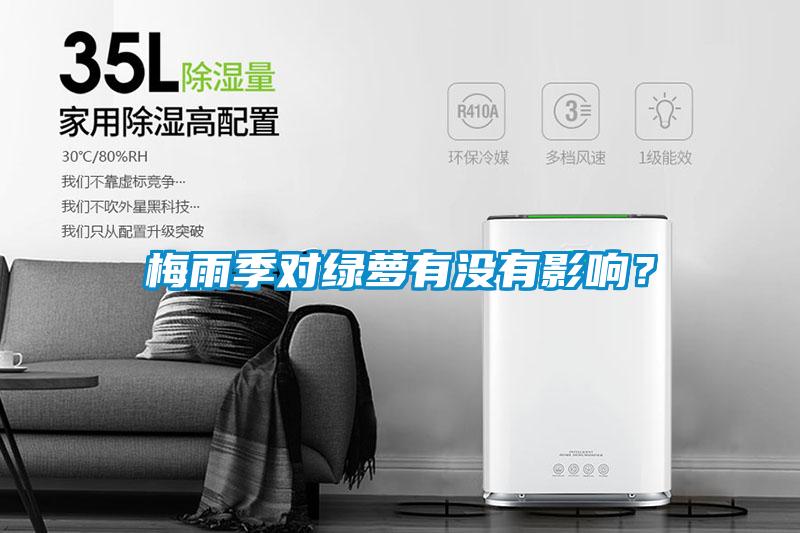 梅雨季對綠蘿有沒有影響？