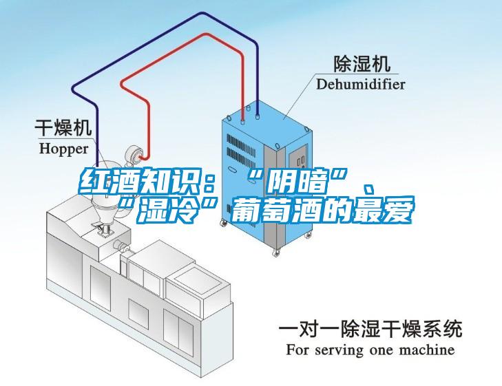 紅酒知識(shí)：“陰暗”、“濕冷”葡萄酒的最愛(ài)