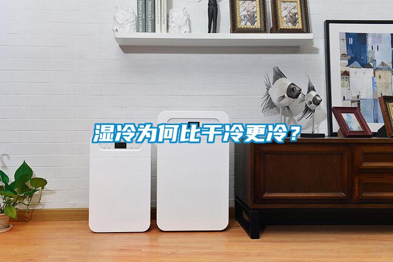 濕冷為何比干冷更冷？