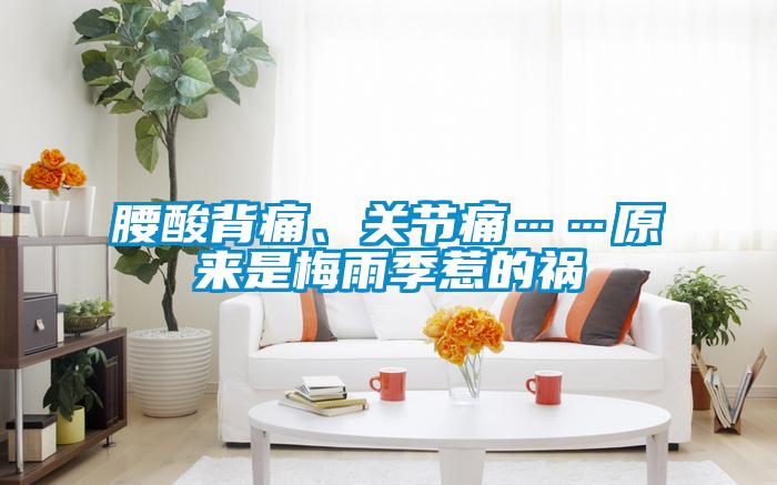 腰酸背痛、關(guān)節(jié)痛……原來是梅雨季惹的禍