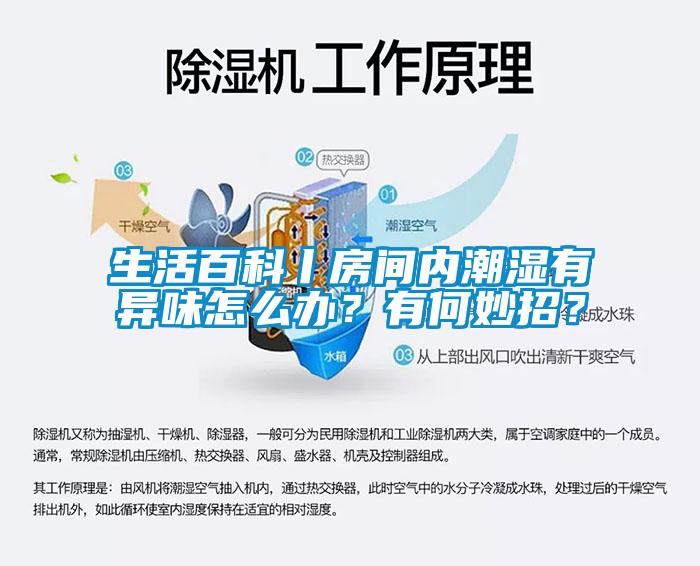生活百科丨房間內潮濕有異味怎么辦？有何妙招？