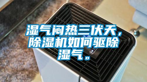 濕氣悶熱三伏天，除濕機(jī)如何驅(qū)除濕氣。