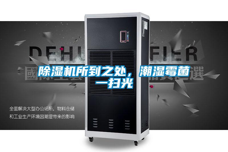 除濕機所到之處，潮濕霉菌一掃光