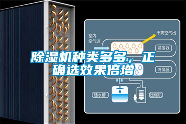 除濕機(jī)種類多多，正確選效果倍增