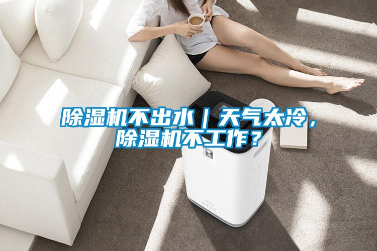 除濕機(jī)不出水｜天氣太冷，除濕機(jī)不工作？