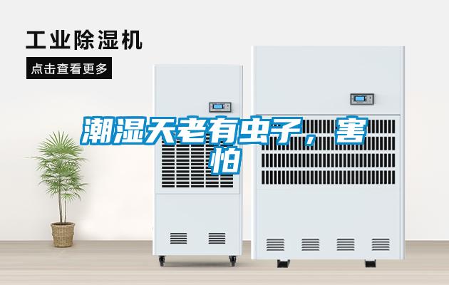潮濕天老有蟲子，害怕