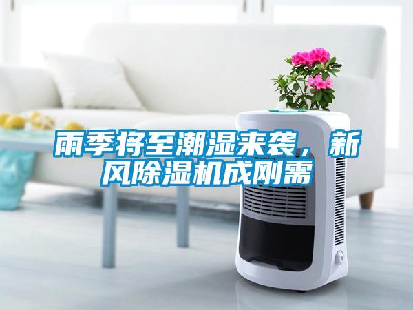 雨季將至潮濕來襲，新風(fēng)除濕機(jī)成剛需