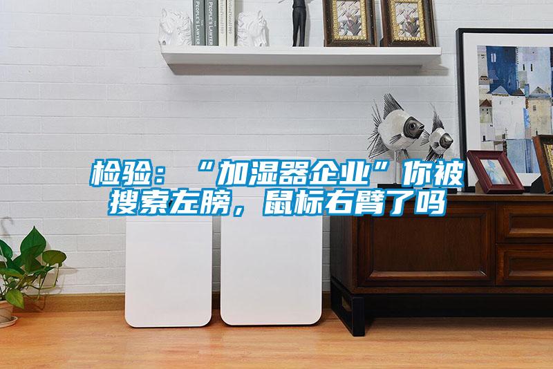 檢驗(yàn)：“加濕器企業(yè)”你被搜索左膀，鼠標(biāo)右臂了嗎