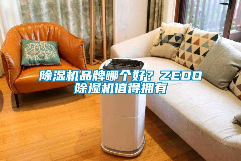 除濕機(jī)品牌哪個(gè)好？ZEDO除濕機(jī)值得擁有