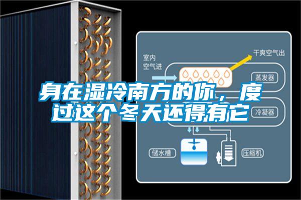 身在濕冷南方的你，度過(guò)這個(gè)冬天還得有它
