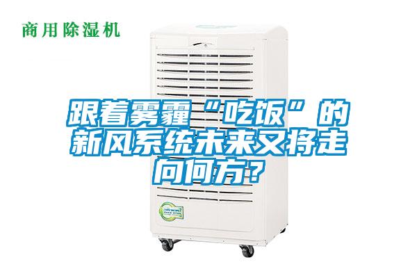 跟著霧霾“吃飯”的新風系統(tǒng)未來又將走向何方？