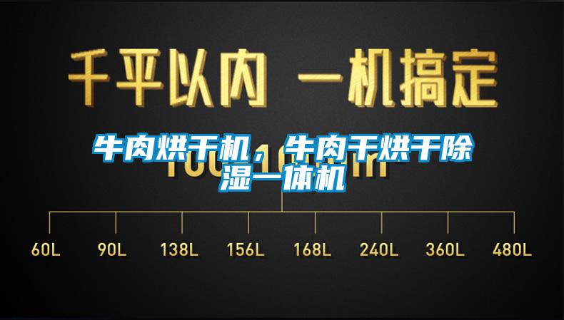 牛肉烘干機，牛肉干烘干除濕一體機