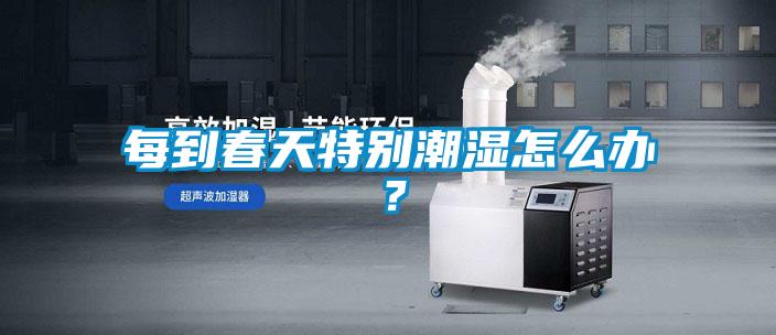 每到春天特別潮濕怎么辦？