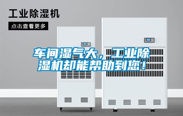 車(chē)間濕氣大，工業(yè)除濕機(jī)卻能幫助到您！
