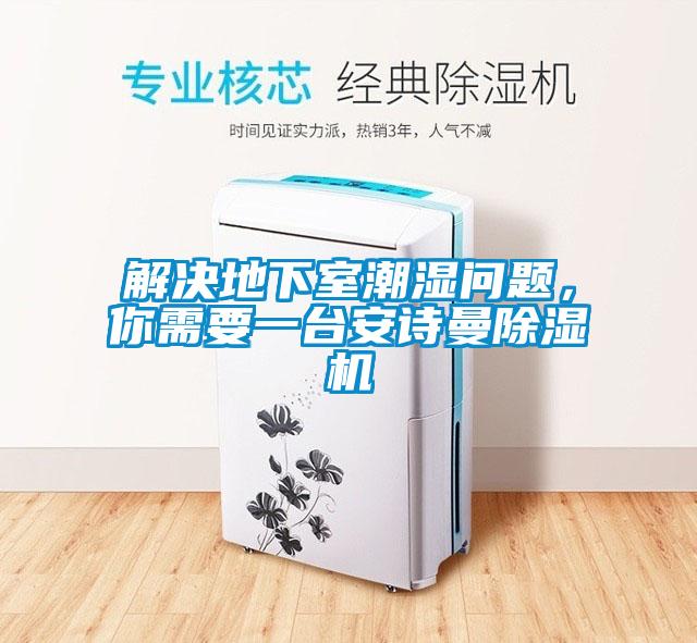 解決地下室潮濕問題，你需要一臺(tái)安詩(shī)曼除濕機(jī)