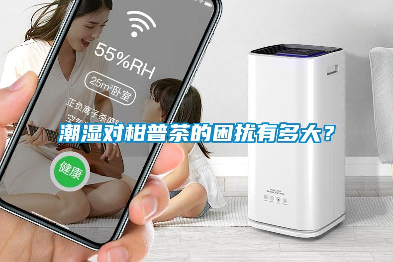 潮濕對(duì)柑普茶的困擾有多大？