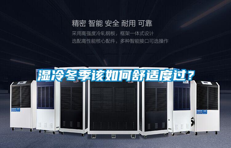 濕冷冬季該如何舒適度過？