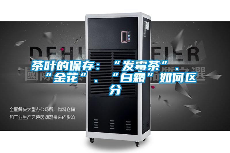 茶葉的保存：“發(fā)霉茶”、“金花”、“白霜”如何區(qū)分