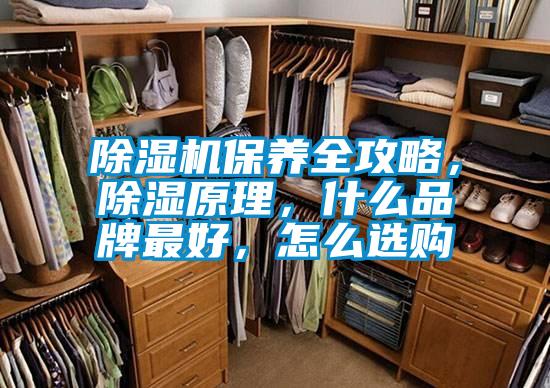 除濕機保養(yǎng)全攻略，除濕原理，什么品牌最好，怎么選購