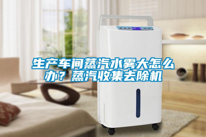 生產車間蒸汽水霧大怎么辦？蒸汽收集去除機