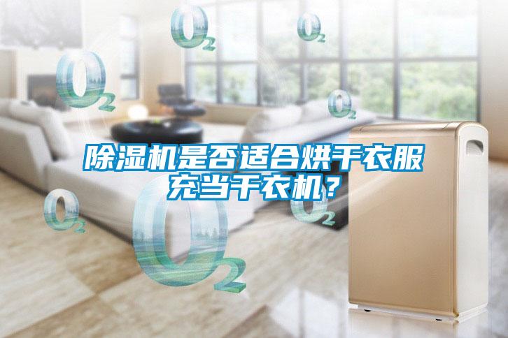 除濕機(jī)是否適合烘干衣服充當(dāng)干衣機(jī)？