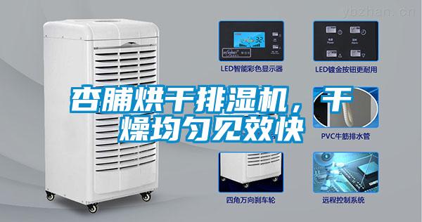 杏脯烘干排濕機(jī)，干燥均勻見效快