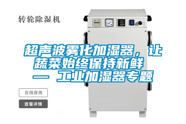 超聲波霧化加濕器，讓蔬菜始終保持新鮮 — 工業(yè)加濕器專(zhuān)題