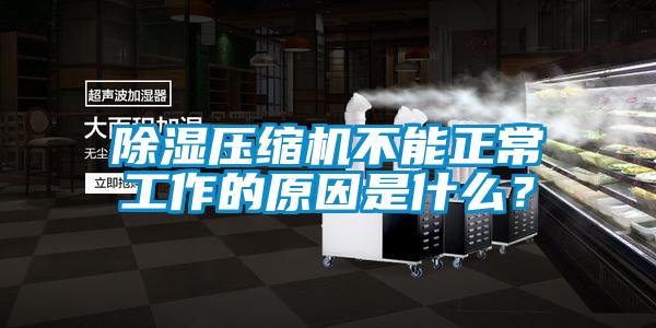 除濕壓縮機(jī)不能正常工作的原因是什么？