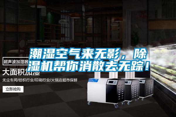 潮濕空氣來無影，除濕機(jī)幫你消散去無蹤！