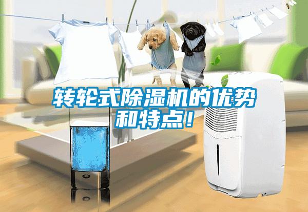 轉(zhuǎn)輪式除濕機(jī)的優(yōu)勢和特點(diǎn)！