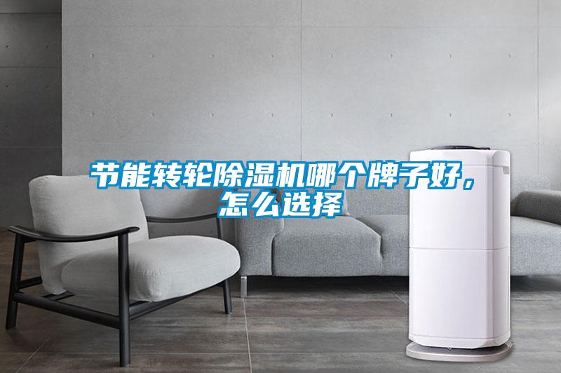 節(jié)能轉(zhuǎn)輪除濕機哪個牌子好，怎么選擇
