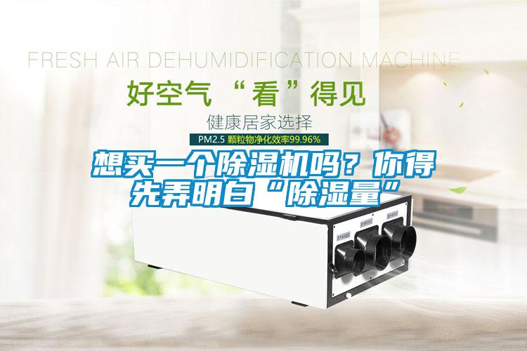想買一個(gè)除濕機(jī)嗎？你得先弄明白“除濕量”
