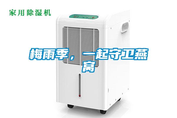 梅雨季，一起守衛(wèi)燕窩