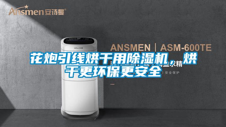 花炮引線烘干用除濕機(jī)，烘干更環(huán)保更安全